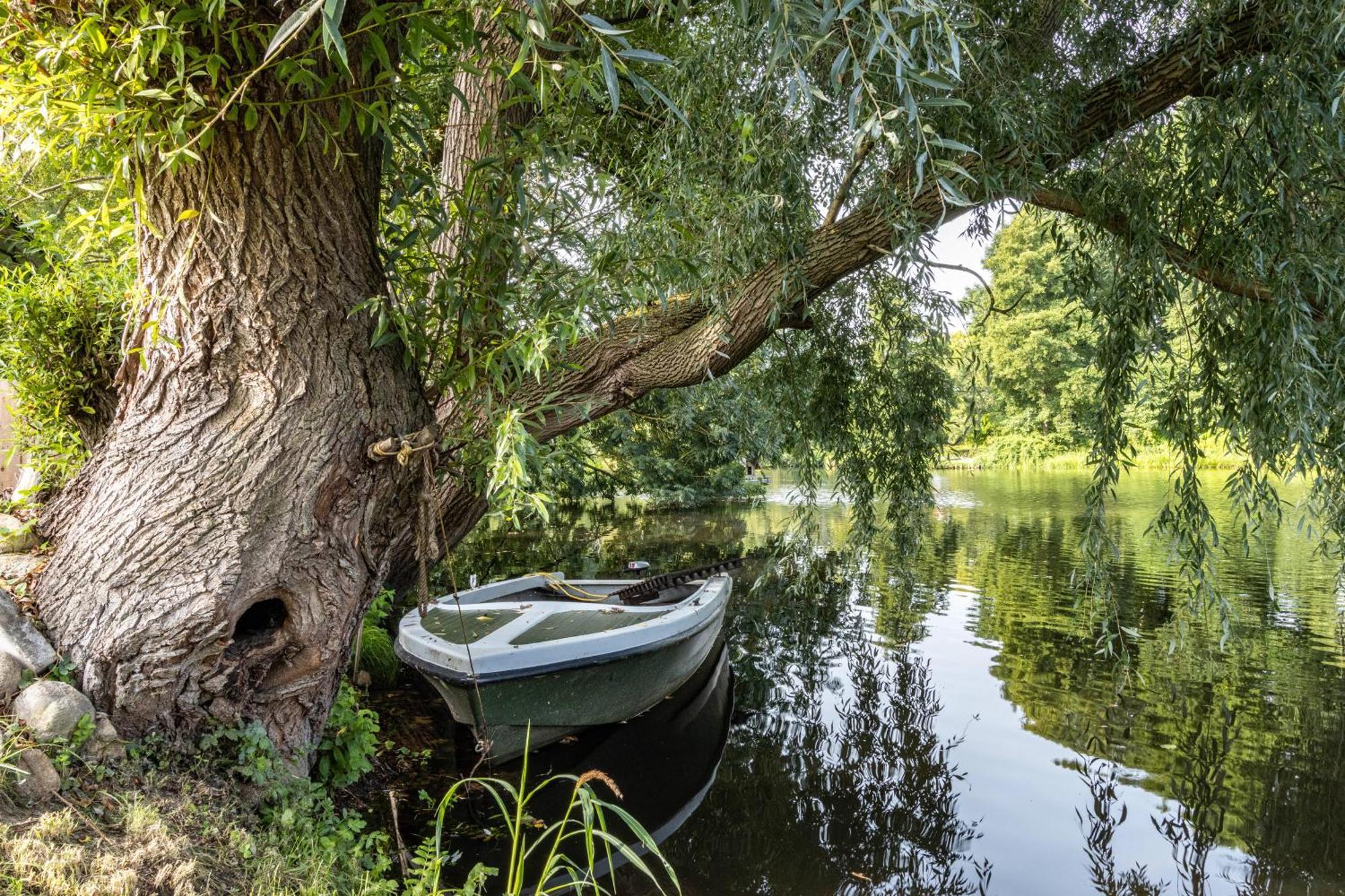 Ferienwohnung Am Parksee Bad Bodenteich Eksteriør billede